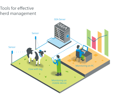 Tools for effective herd management