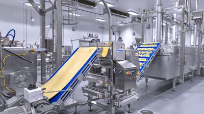 Mazzone pasta manufacturing equipment supplied by Pavan