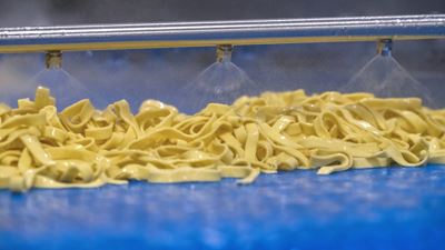 Mazzone tagliatelle pasta line