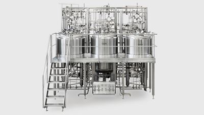 Optimizing Immunoglobulin Production