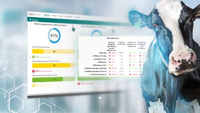 Wie smarte Technologien zu glücklichen Kühen und einer nachhaltigen Milchviehhaltung führen