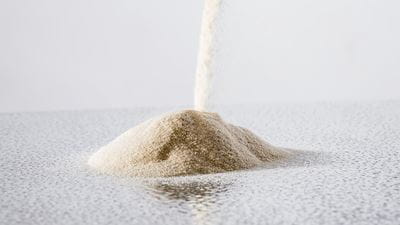 Spray dried protein powder