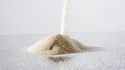 Sprühgetrocknetes Proteinpulver
