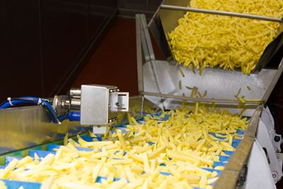 Pommes frites Produktion bei Bergia Frites, Niederlande 