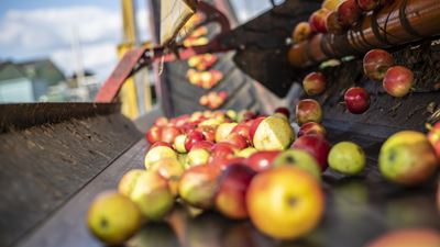 Low-sugar nutrition is one of the dominant themes in the food industry today. Better Juice and GEA present a solution for the fruit juice industry. Photo: GEA/Tim Luhmann