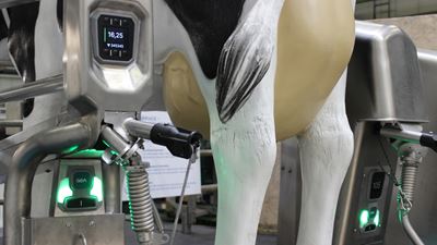 Foto 2: Im Rahmen von Next Generation Farming kündigte GEA mit dem DairyMilk M6750 auf der EuroTier eine neue Generation der Steuergeräte für konventionelles Melken an. Diese stehen für modernste, vernetzte Sensorik und Datenmanagement in Echtzeit. (Bild: GEA)