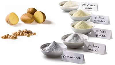 The Emsland Group is a leading developer of innovative product solutions based on renewable raw materials, primarily potatoes. (Image: Emsland Group)