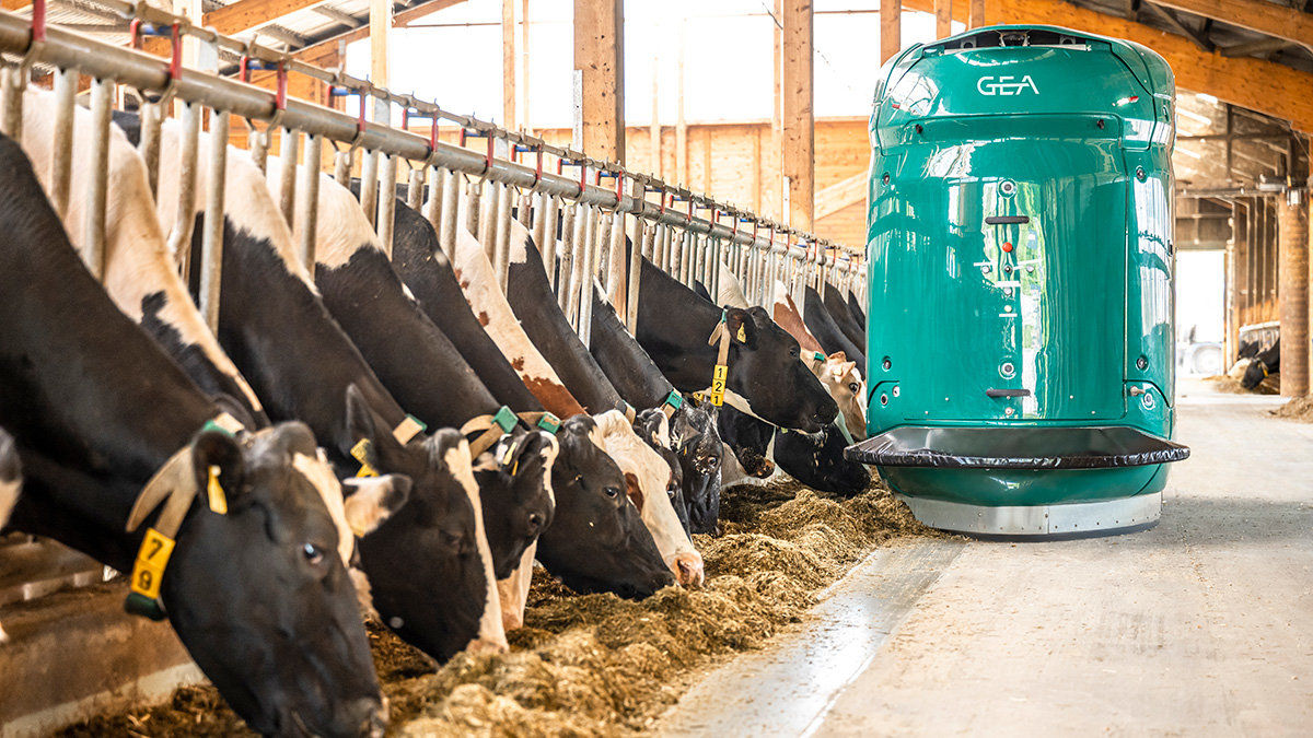 DairyFeed F4500 – GEA Feeding Robot