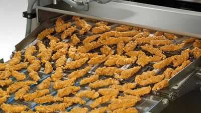 GEA Fryer