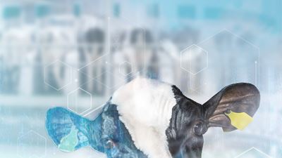 مع إدارة القطيع من GEA: التحليل الذكي، والخيارات المربحة: