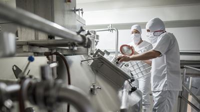 Geruchsbeseitigung und Texturveränderung für eine höhere Qualität des Endprodukts