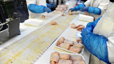 Kontaminationskontrolle von Listerien im Werk