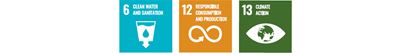 Sustainable Development Goals (SDGs)