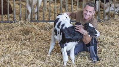GEA CowScout