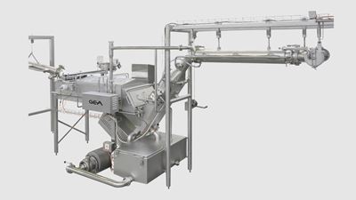 Dry salt dosage system