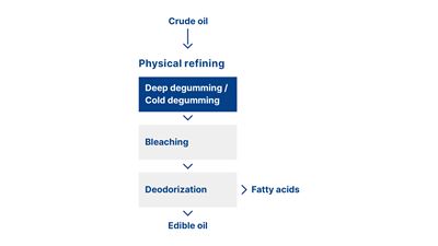 Physical refining