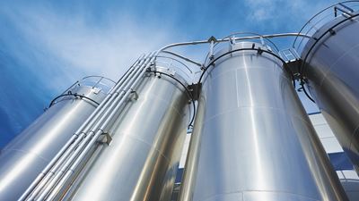 fermentation-process-01