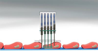 GEA AccuJector | Brine injector with individually controlled needles
