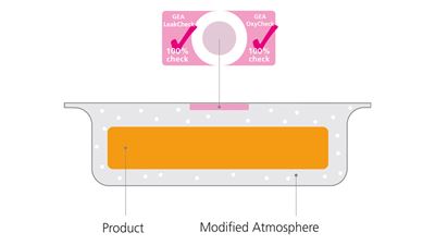 GEA LeakCheck