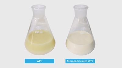 GEA microparticulated WPC