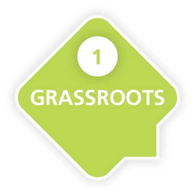 iXPRESS diamond icon Grassroots
