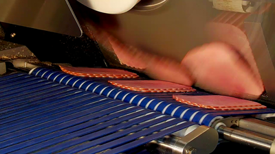 MegaSlicer Shingle Conveyor