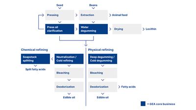 Process stages of chemical and physical refining of edible oils