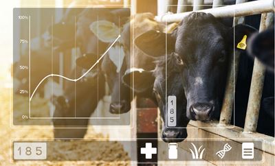Supporting the visionaries of sustainable milk production