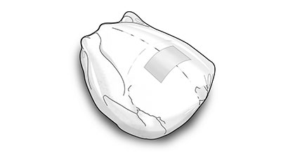 GEA PowerPak thermoforming packaging | Shrink pack