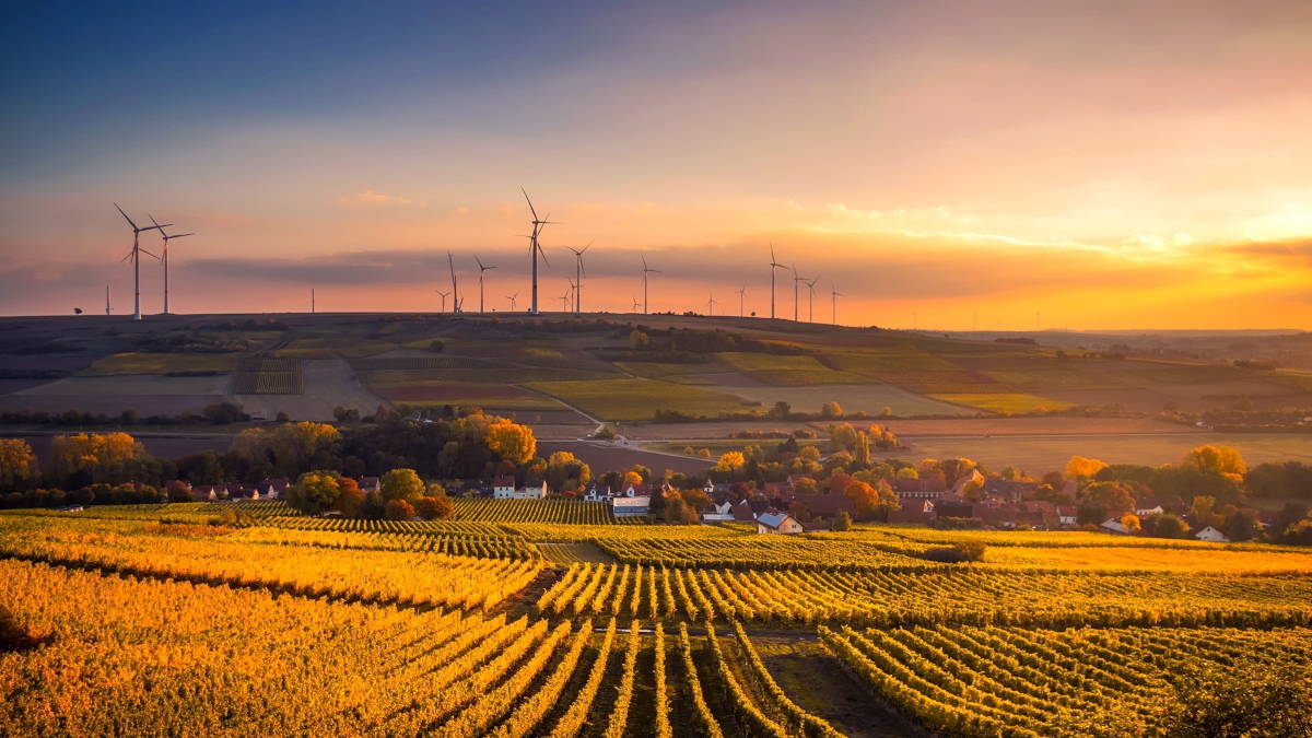 4. It meets your sustainability goals