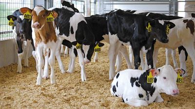 DairyFeed F4600