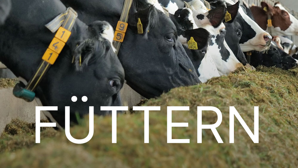 DairyNet - Modul Füttern