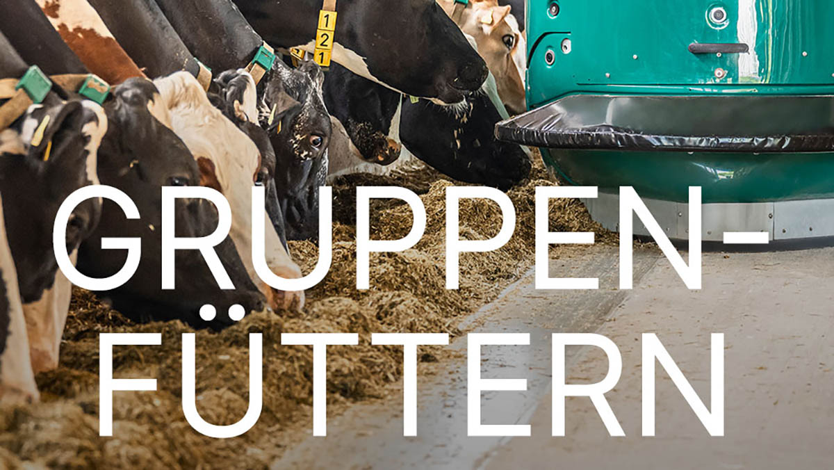 DairyNet - Zusatz-Modul Gruppenfüttern