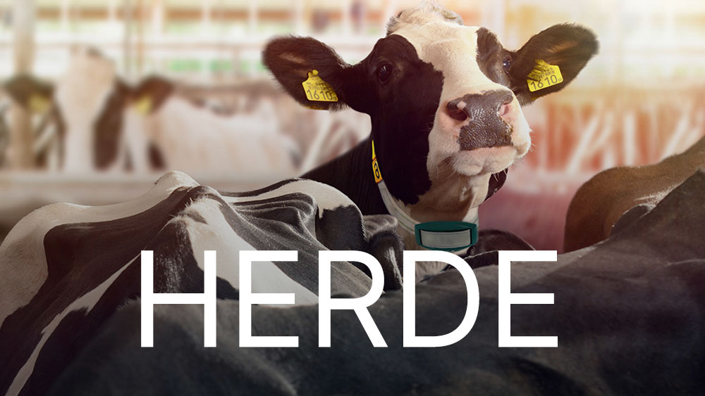 DairyNet - Modul Herde