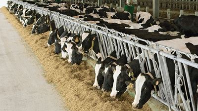 DairyNet - module data adapter