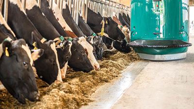 DairyNet - module group-feeding