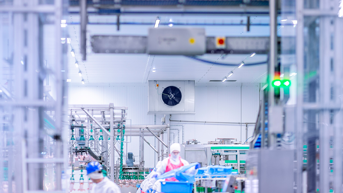 Efficiency and sustainability go hand in hand at Wipasz