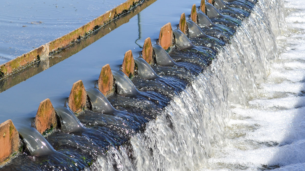 Industrial effluents
