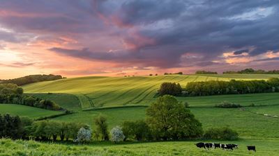 Using low-carbon fertilizers to grow planet-friendly food