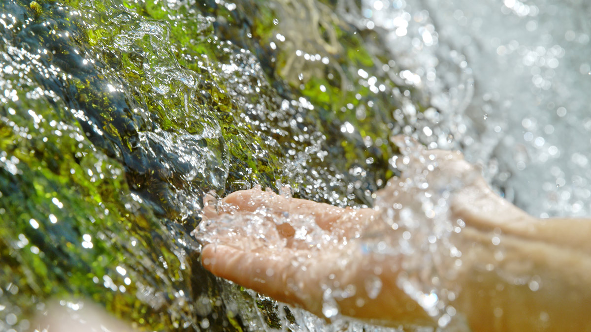 Hidden Champions: GEA Cleaning Technology - Protect our environment