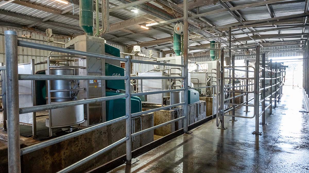 DairyRobot-System-at-Three-Bridges-Dairy-2