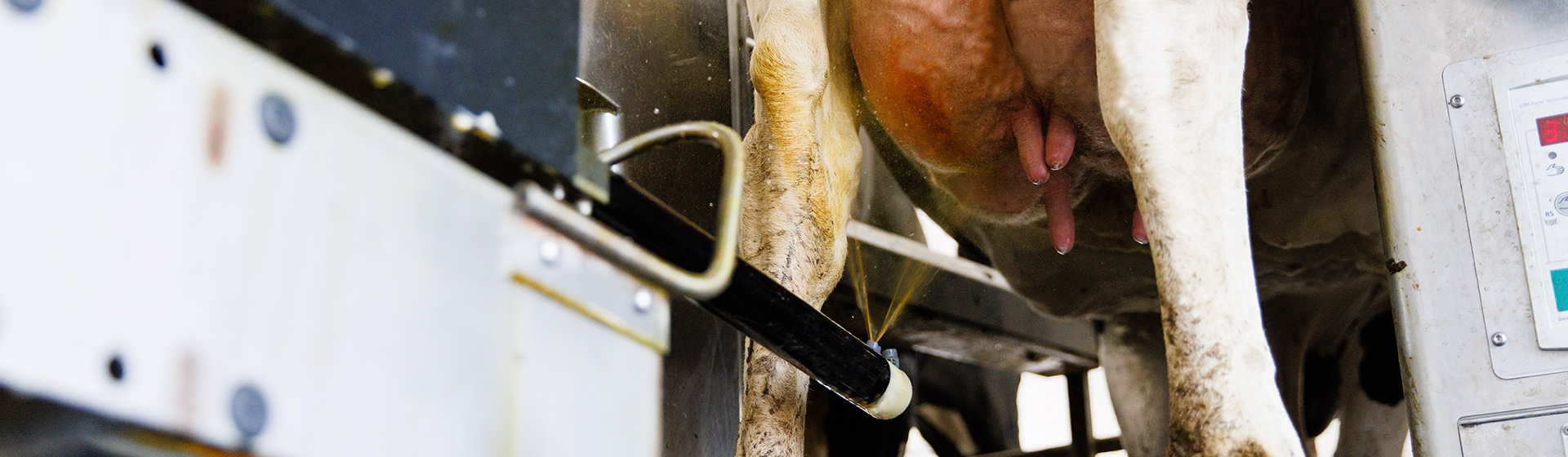 Udder Mister Teat Dip Sprayer