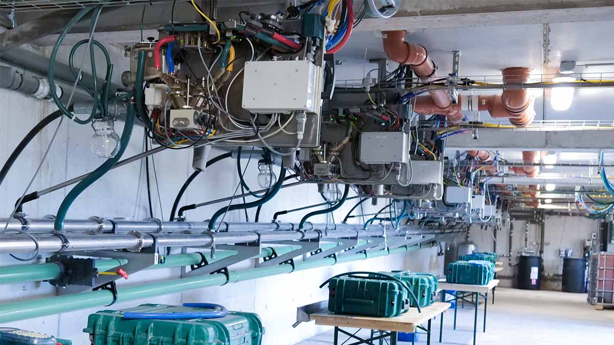 DairyRobot, Batch milking, automatic milking, group milking, R9650