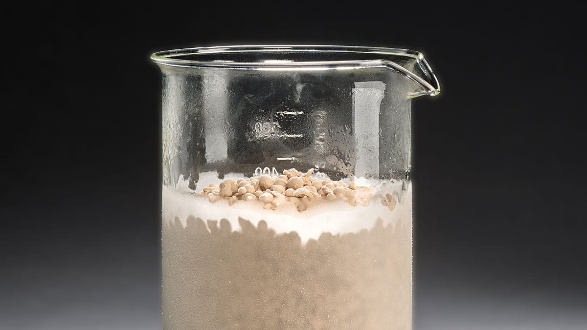 Fermentation-derived ingredients