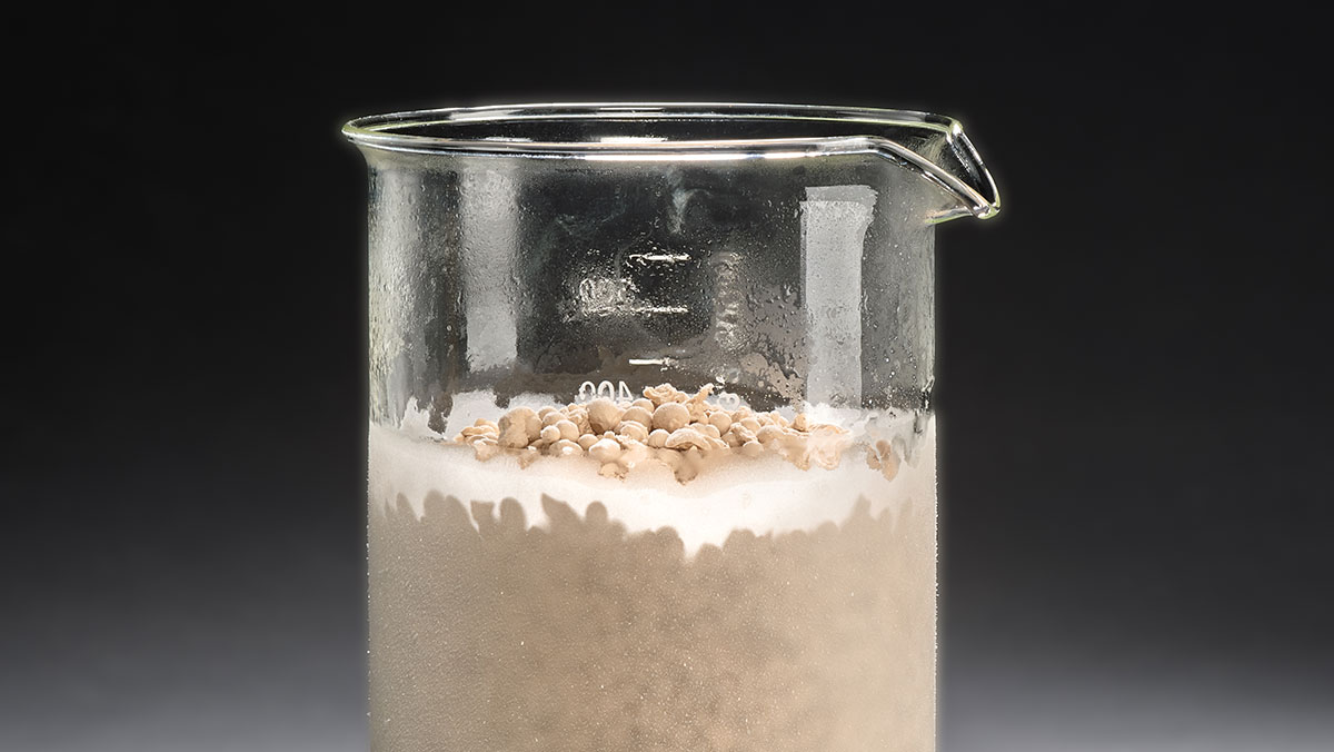 Fermentation-derived ingredients Fermentation-derived ingredients