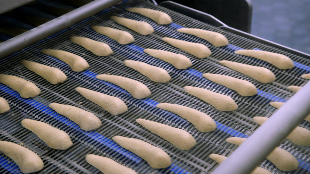 GEA MaxiFormer fish mimic