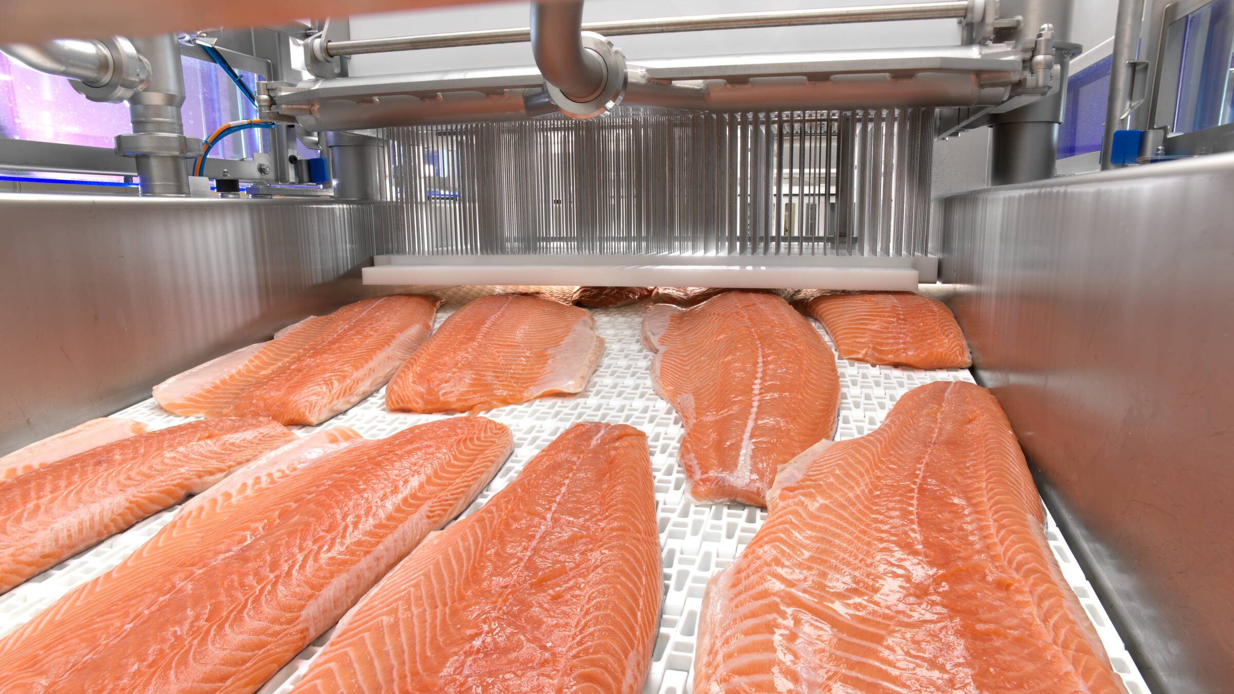 GEA MultiJector 2mm injecting Salmon