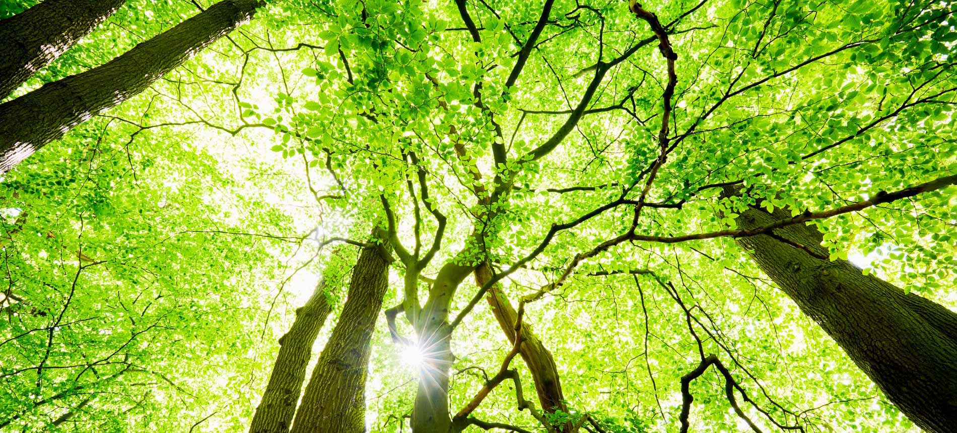 The rhythm of (chemical) life is a powerful beat