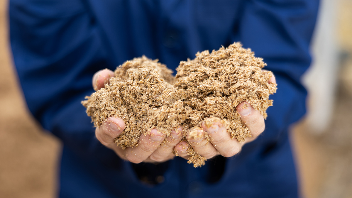 Rich rewards from brewery waste