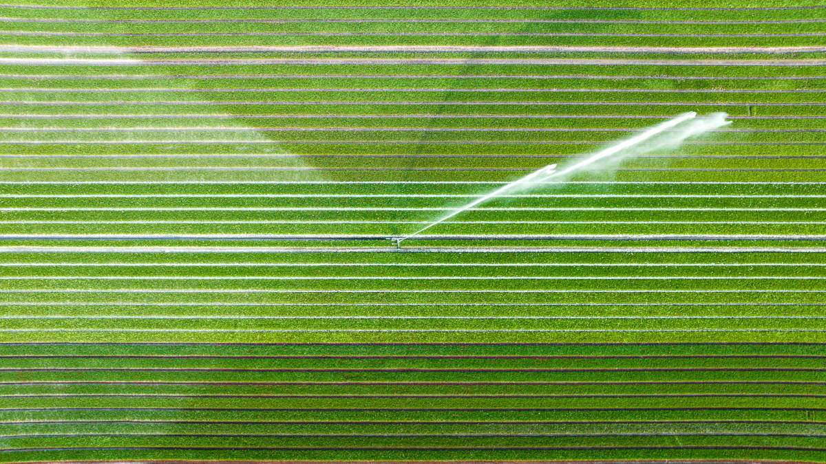 LEFF®: رفع ذكي، تنظيف مستدام.